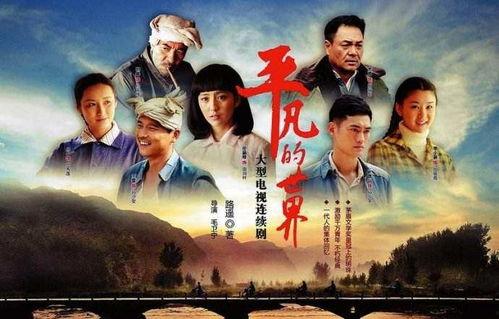 好看的电视剧国产,匠心独运,光影流年